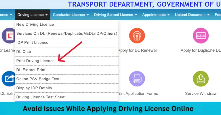 Avoid Issues While Applying Driving License Online